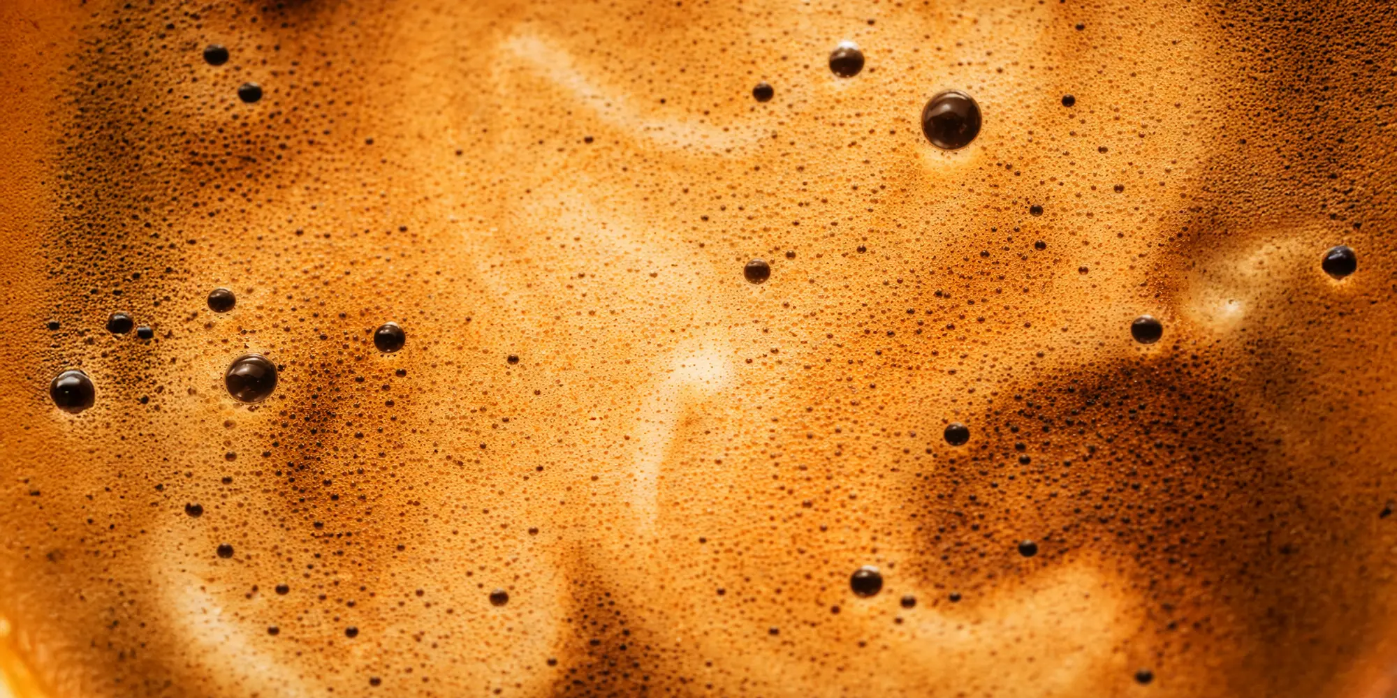 Basic Barista Training