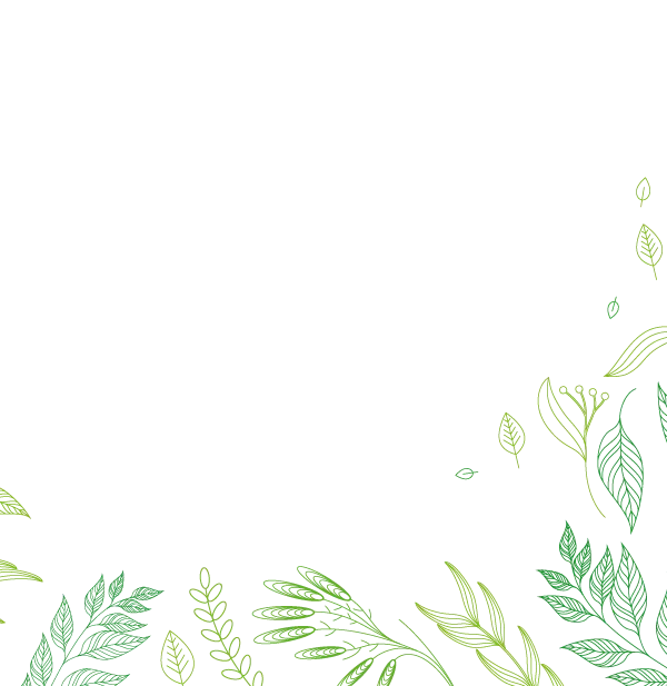 Decorative Bottom Image